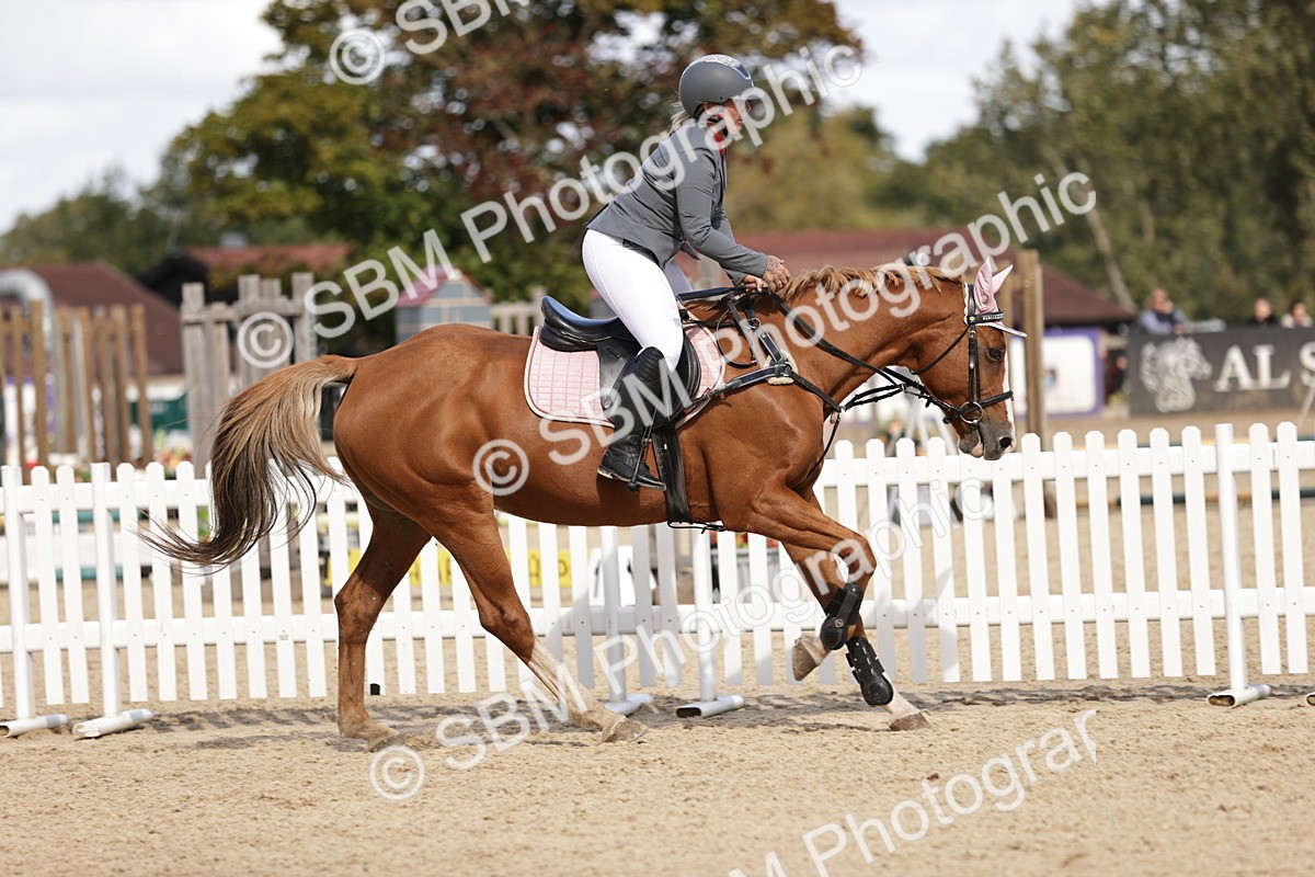 SBM_18498 - Supreme Championship
