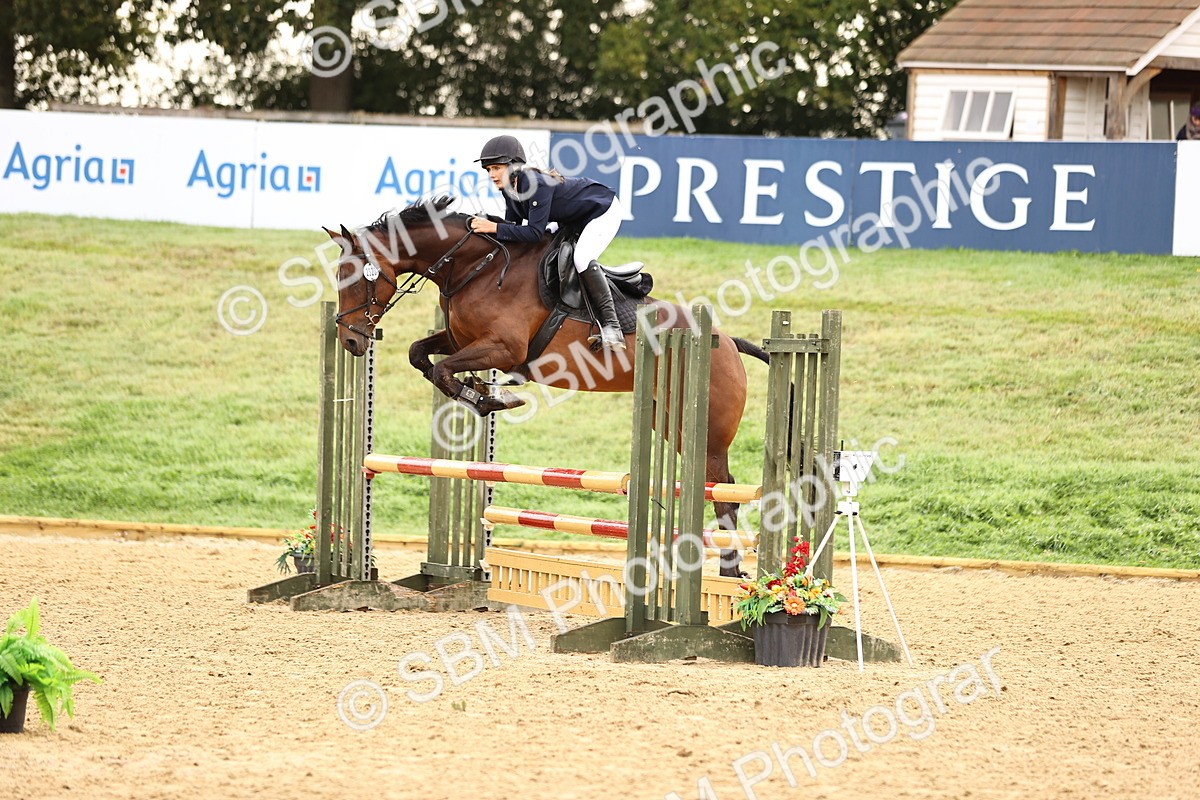 SBM_58362 - J41 - Grand Tour Horse & Pony 95cm