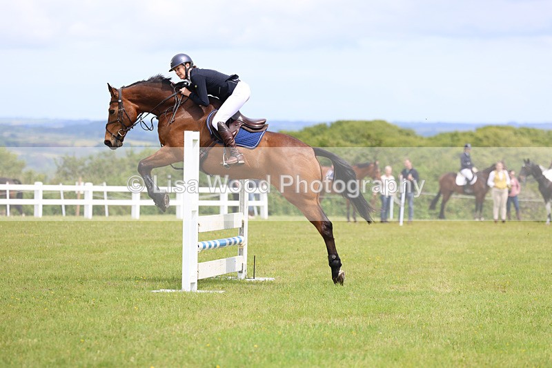 3E7A7290 - Class 13: Senior British Novice/90cm open