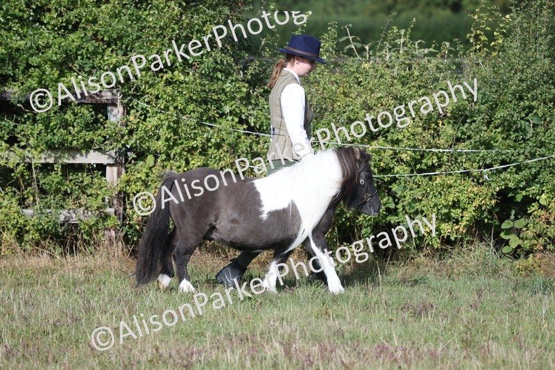 20250831-1304 - Class 21 - Inhand Open