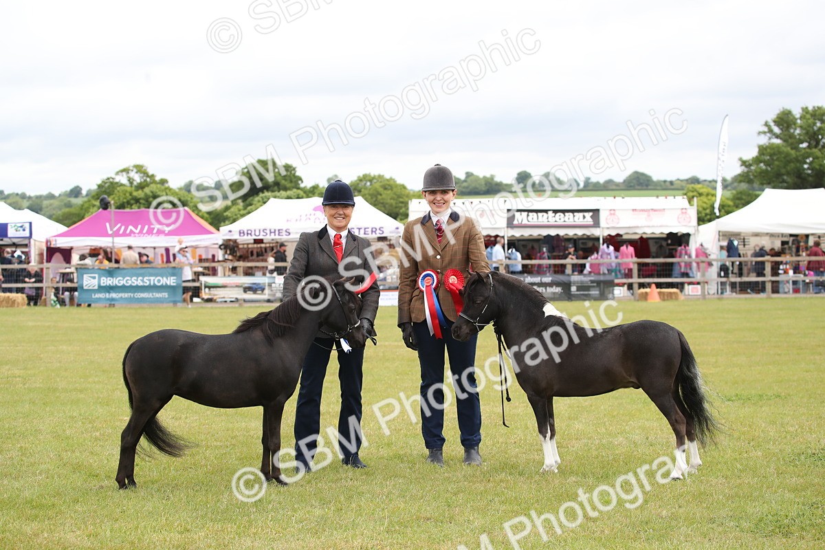 SBM_03580 - Class 23-25 - British Miniature Horse of the Year