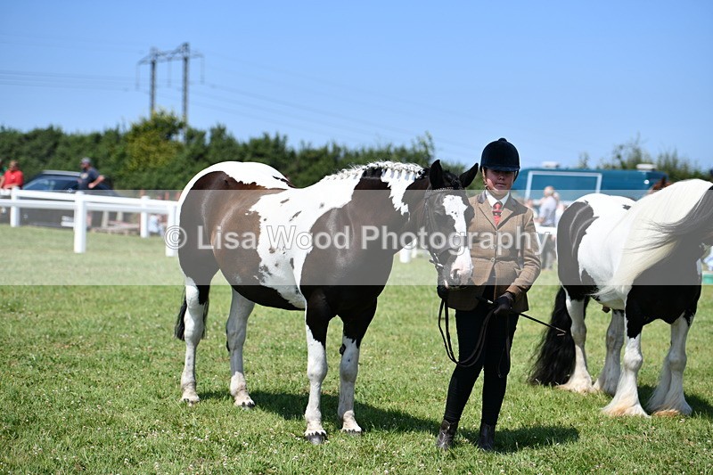 DSC_7692 - Class 64: Coloured Pony 4yrs & over