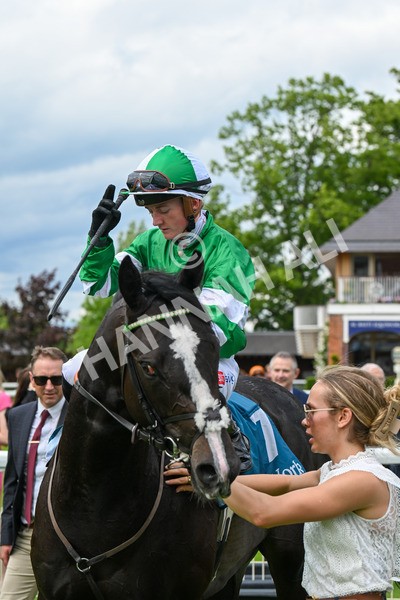 310525-Race 2-Tadej-9081 - Race 2 2.05pm Irish Thoroughbred Marketing EBF Restricted Novice Stakes