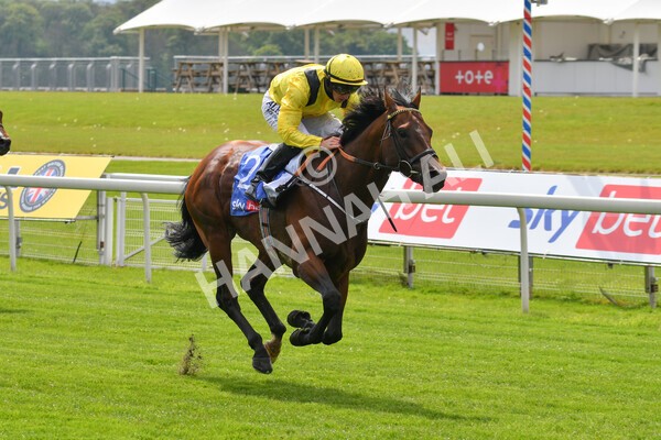 yr12052021r1-41 - Race 1 1.40pm Sky Bet Race to the Ebor Jorvik Stakes