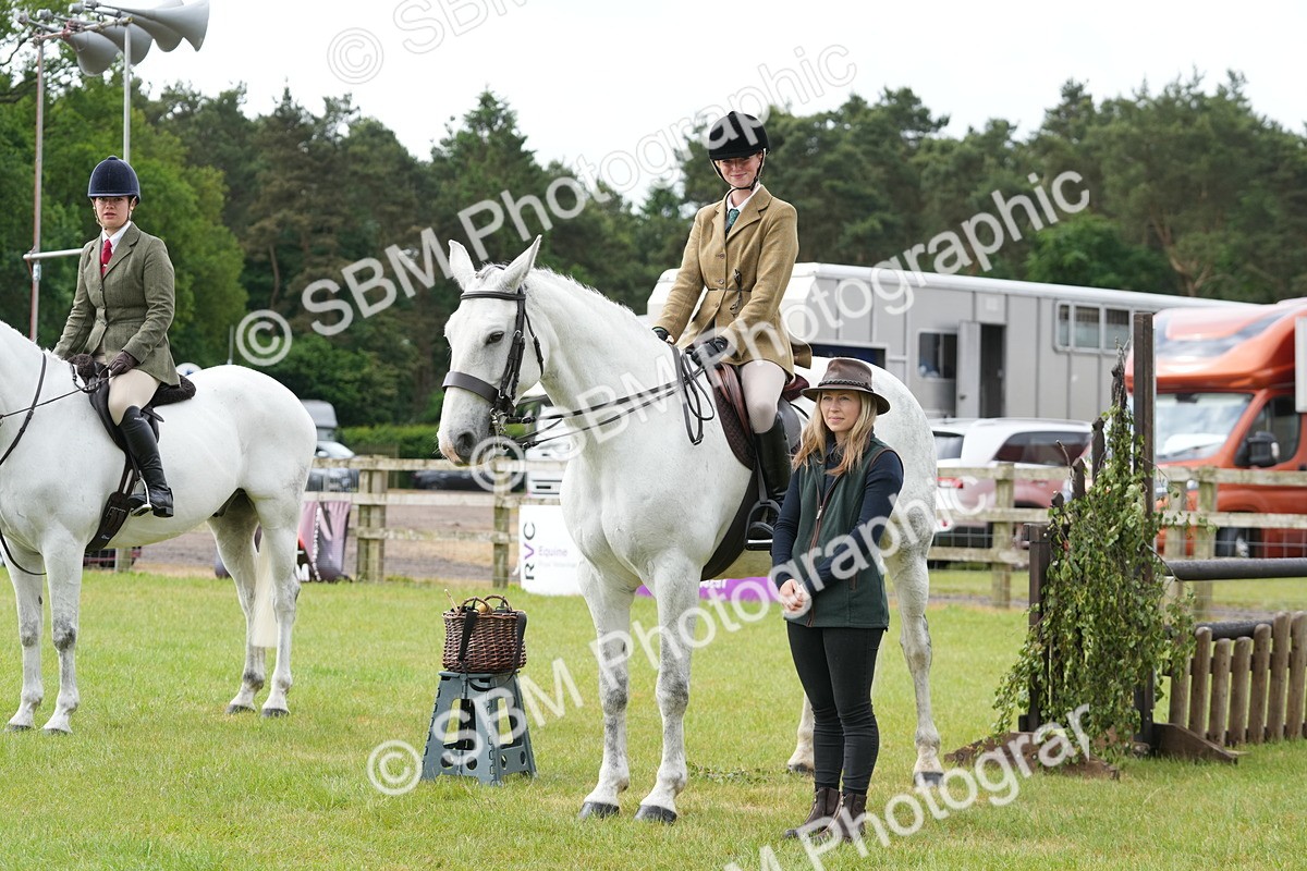 SBM_12779 - Class 97-98 - LIHS BSHA Rising Star Working Show Horse Hunter