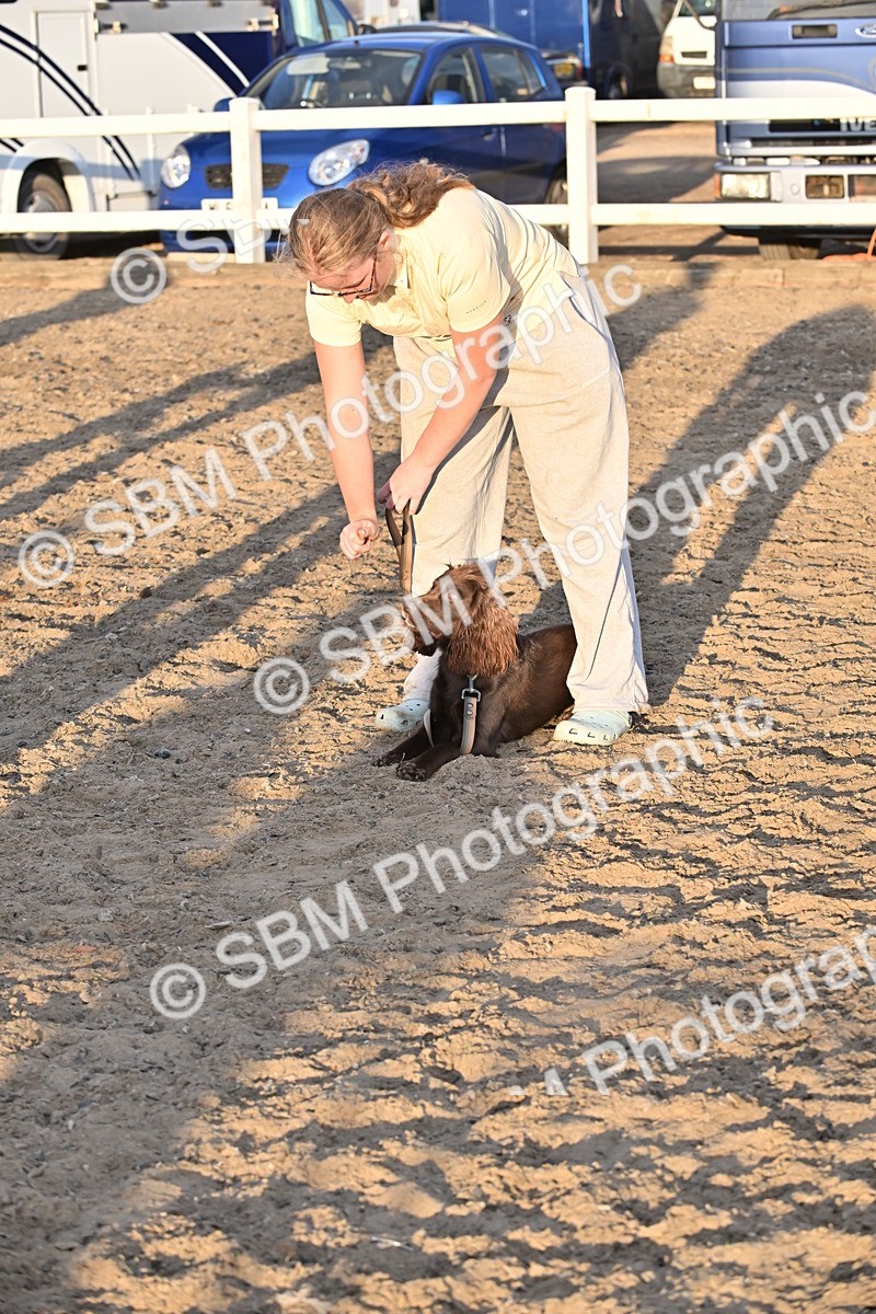 SBM_09666 - Lorry Dogs