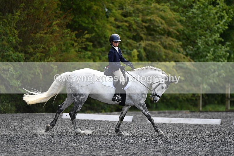 WJ5_1195 - Time 13:45 to 14:20