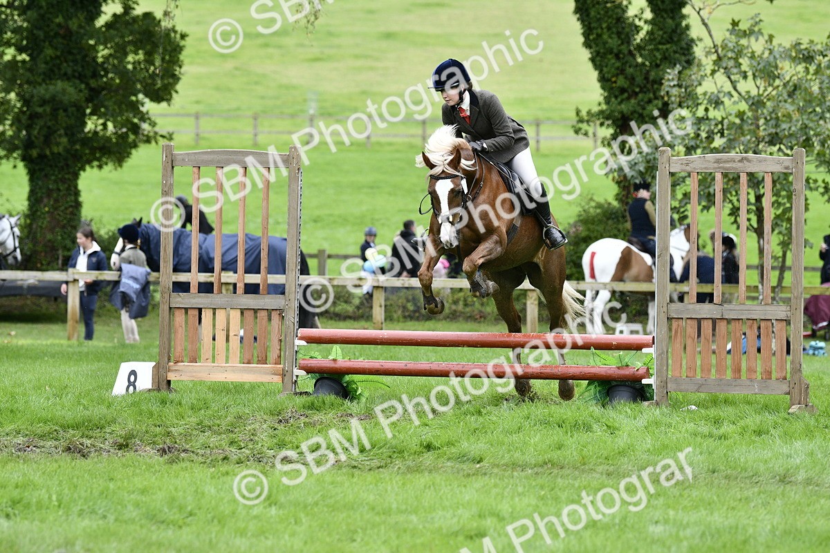 SBM_41375 - S32 - Mountain & Moorland Working Hunter Pony