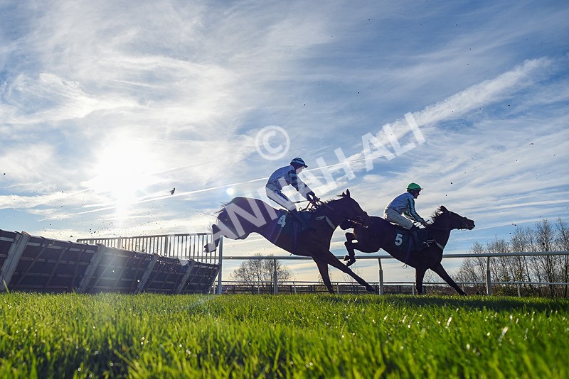 211125-Race 2-Indian River-7057 - Race 2