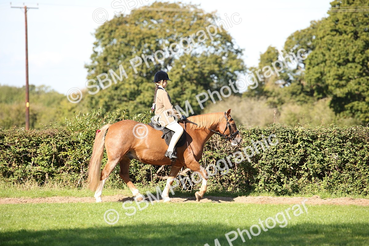 SBM_38951 - S11 - Best Ridden Horse & Pony