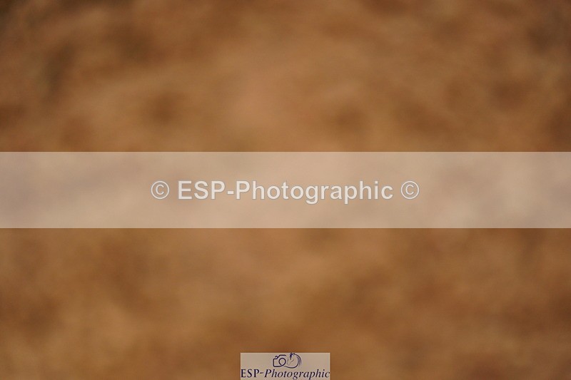 240526A-131040-08261 - Cls 27 Chard Equ May Grand Prix