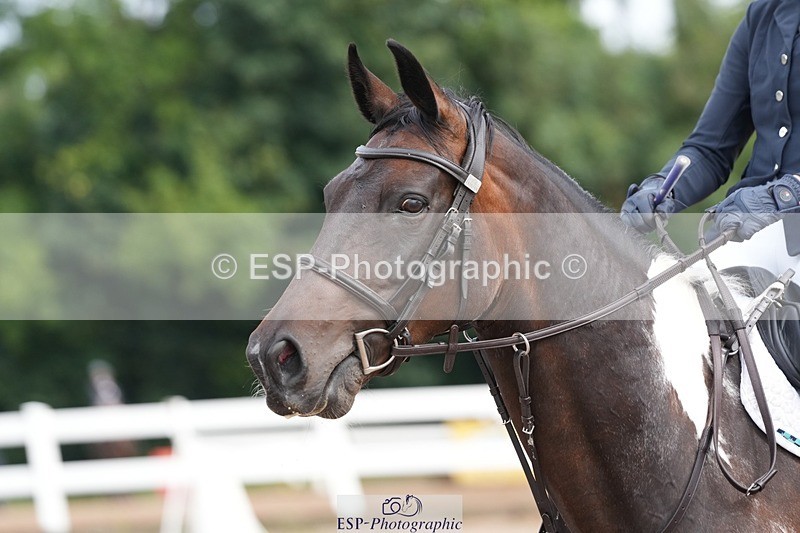 250731-102848-01382 - Cls 08  85cm Nat Am Qual