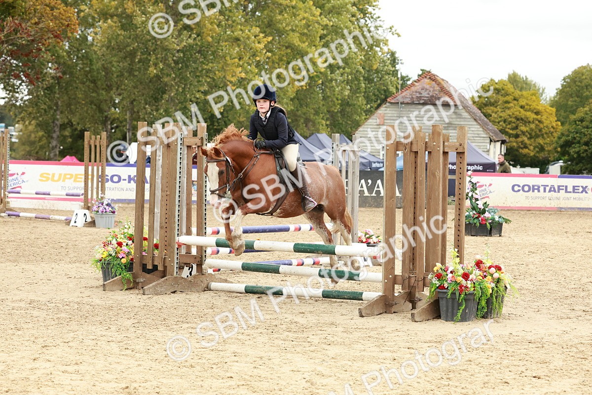 SBM_67164 - J13 - Junior Pony 60cm Championship