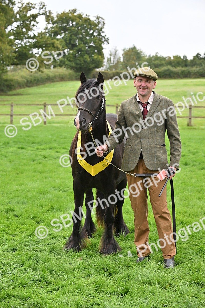 SBM_58161 - S47 - Mini Show Cob In Hand
