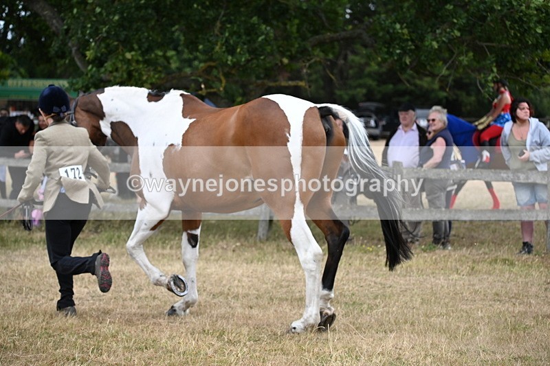 WJ6_8161 - Class 10 Coloured in Hand