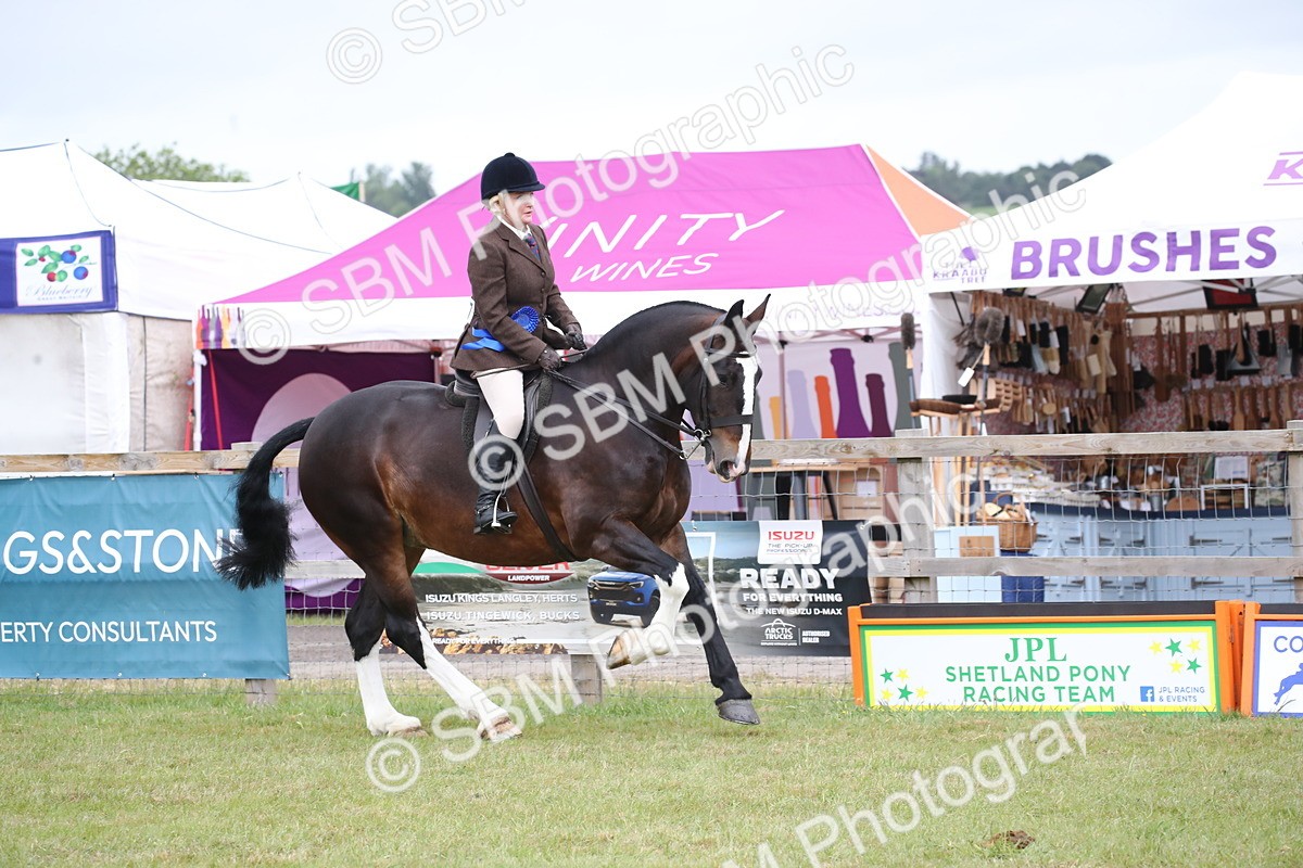 SBM_11308 - Class 92-93 - LIHS BSHA Rising Star Cobs