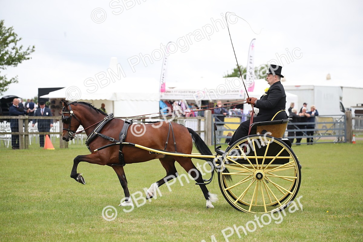 SBM_05756 - Class 12-15 - HOYS Private Driving