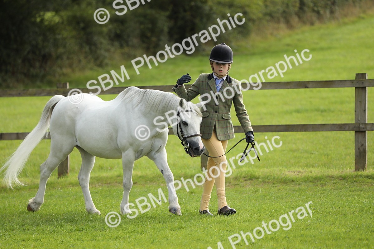 SBM_68530 - S40 - Junior Handler 9-12 Years