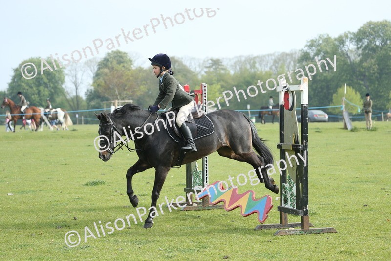 20260426-0010 - Class 13 - Rookie Jumping 50cm