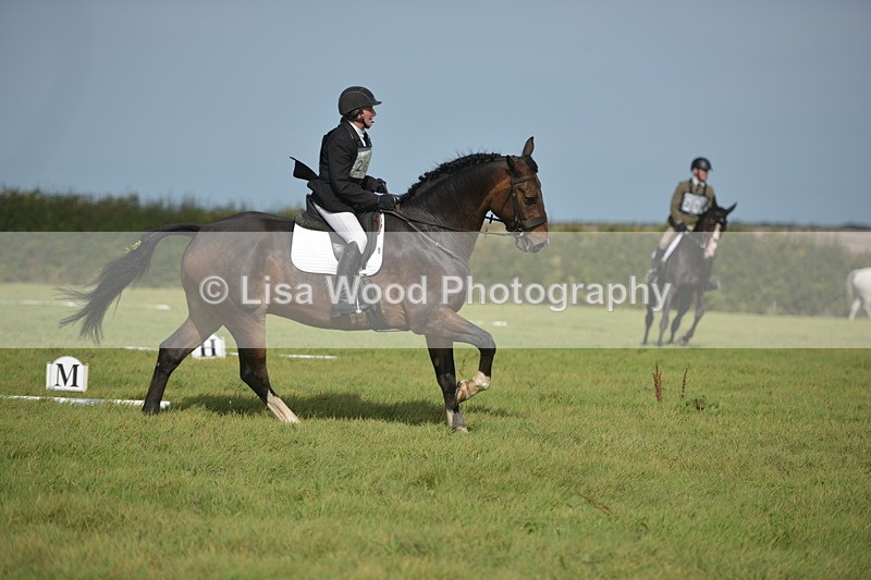 RAY_7984 - Class 2B: Trekenning Open: Dressage