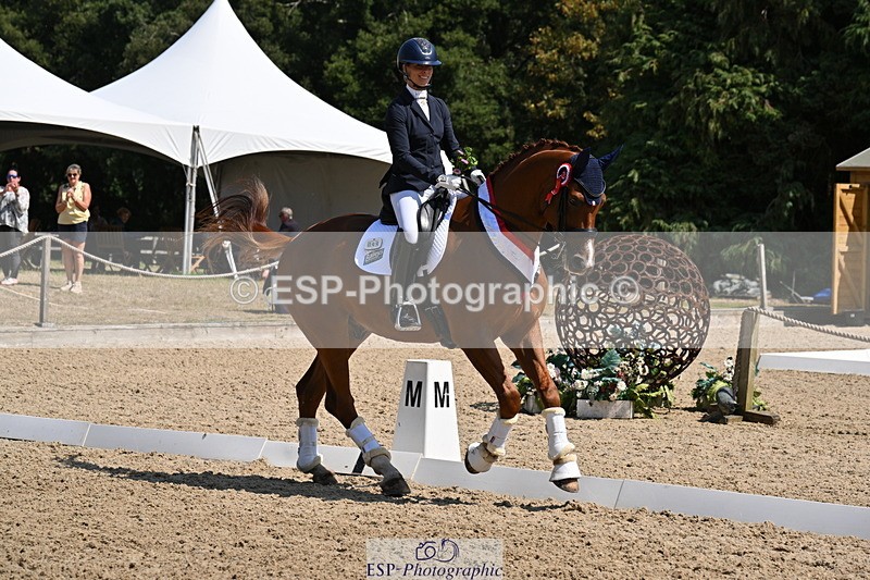 250810A-123412-06385 - Adv Medium GOLD Presentations