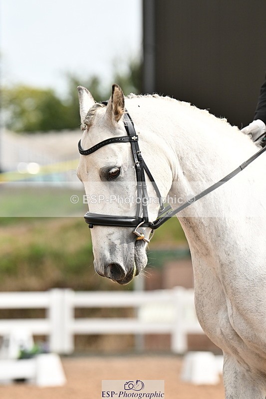 240817A-102705-07184 - 124-Scarlett.Jones-My.Perfect.Paddy