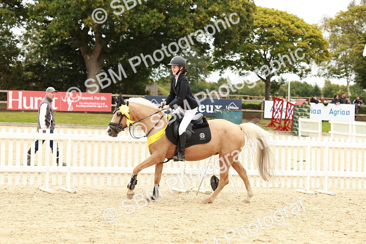 SBM_63913 - J12 - Junior Pony 55cm Championship