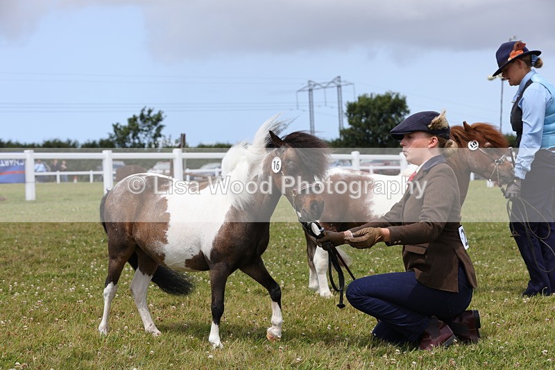 1X9A4795 - Class 35: Veteran In Hand