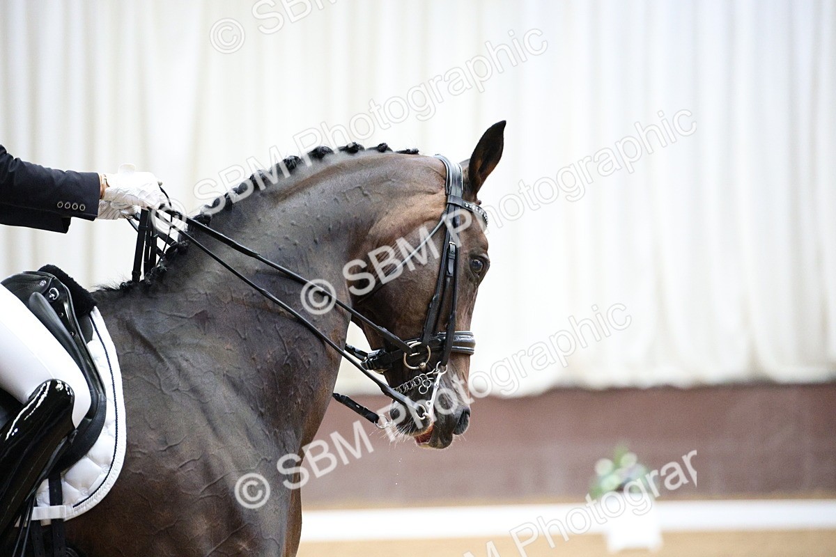 SBM_007852 - Class 12 - FEI PSG 14.46-15.50