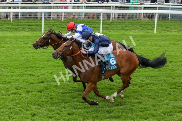 250524-Race 1-Tiriac-2974 - Race 1 1.35pm William Hill Keep Your Raceday Positive Handicap