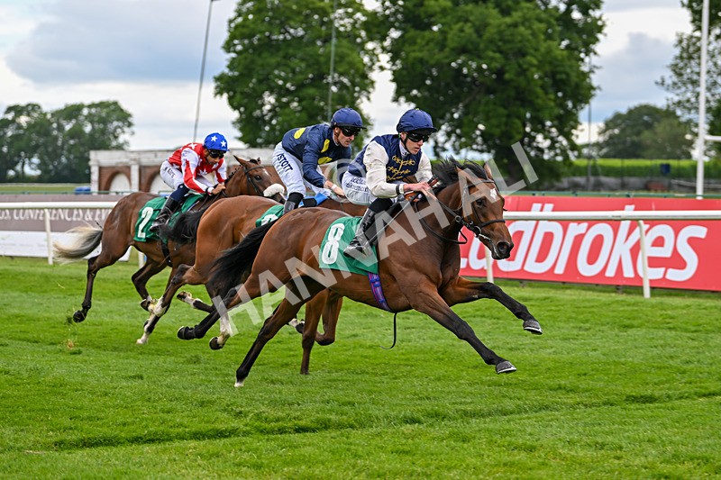 170625-Race 1-Royal Fixation-4350 - Race 1