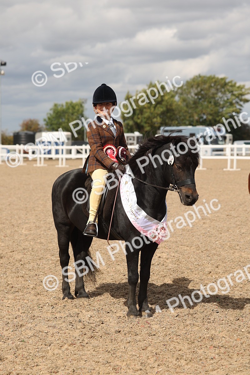 SBM_15917 - Class 310 - First Ridden Pony