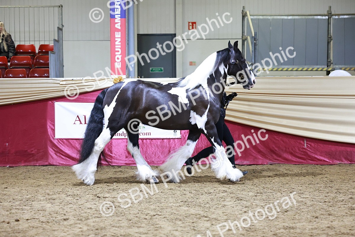 SBM_20818 - Class L - Coloured Champ