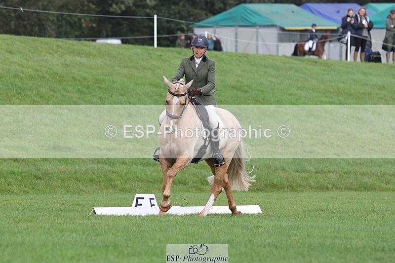 231019-111007-02572 - 612-CORRIEVIEW.MERLIN.MAGIC-Jane.Rogers-DR