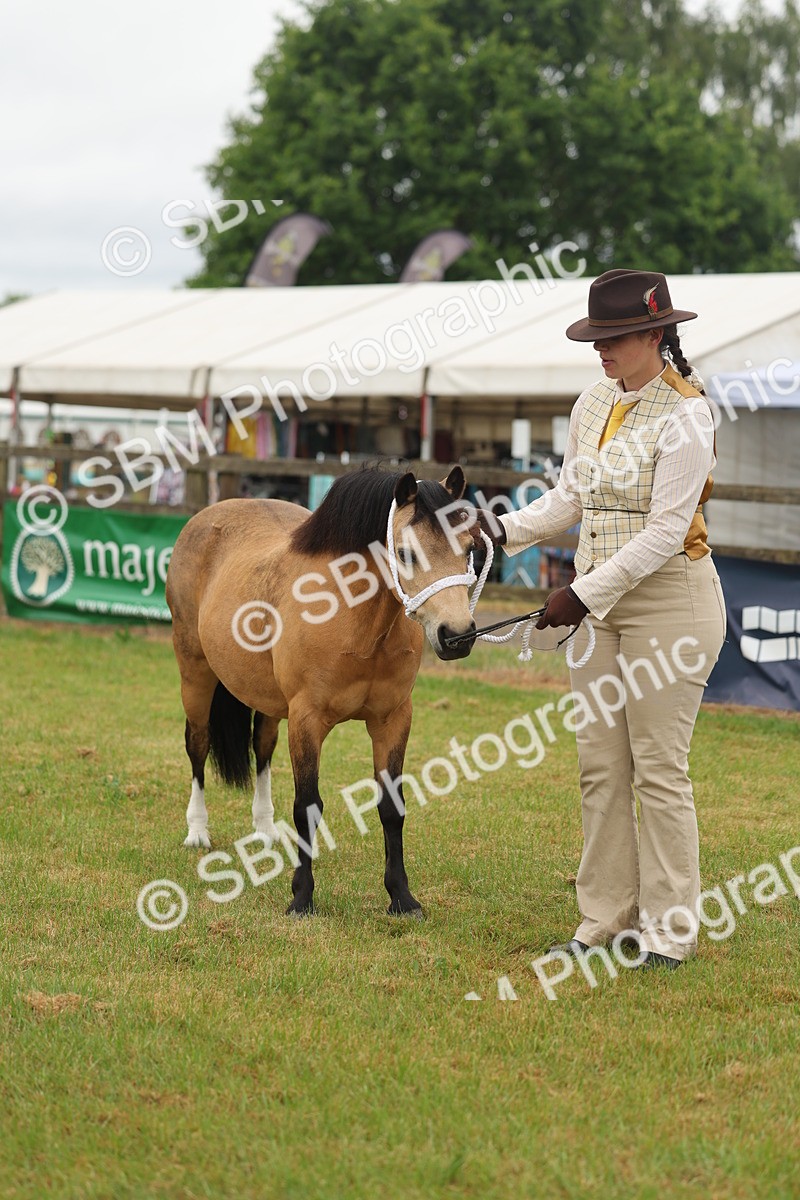 SBM_01550 - Class 50-57 - M&M Welsh Pony In Hand
