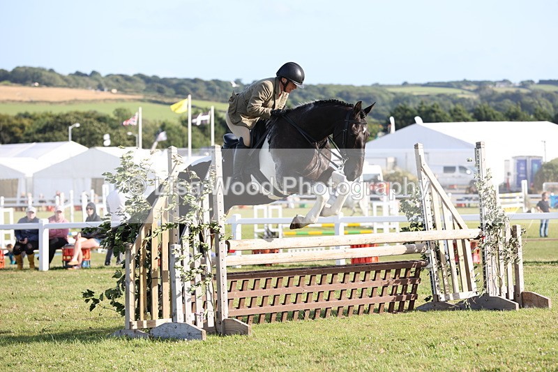 JPP_3444 - Class 22: Working Hunter 90cm