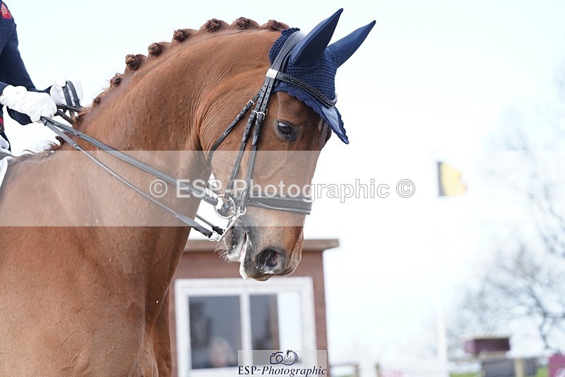 250403-102620-00736 - 001-Lewis.Carrier-Rubico