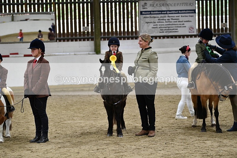 WJ5_7110 - Class 10 Childs Pony