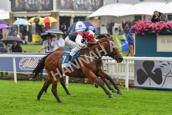 140723-Race 6-Copper Knight-8360 - Race 6 4.55pm Irish Thoroughbred Marketing Handicap