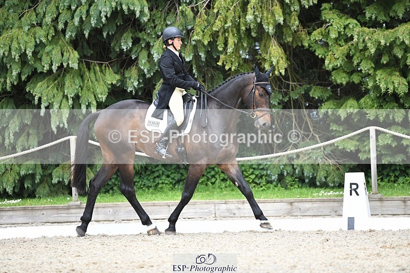 230525-152545-03248 - 326-GULLITH-Emily_Lochore-WEDTrotUp+DR