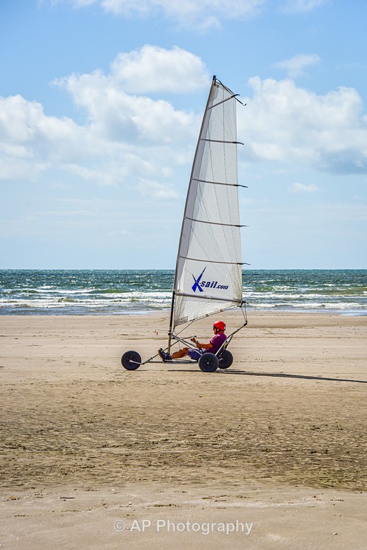 ACP_2360-1 - Ynyslas