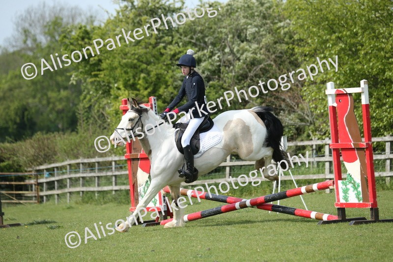 20260426-1645 - Class 14 - Novice 60cm