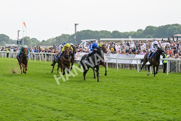 170524-Race 3-Devoted Queen-7863 - Race 3 3.15pm Sky Bet Fillies' Stakes (Registered As The Michael Seely Memorial Fillies' Stakes)