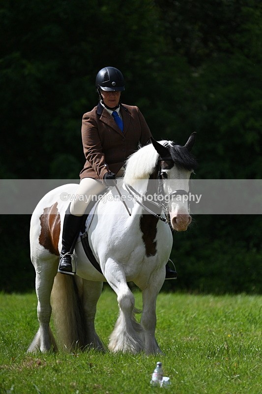 WJ7_1349 - Class 11 Condition & Turnout