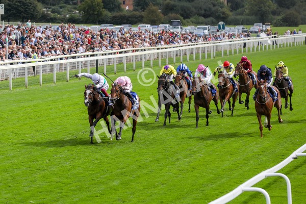 240823-Race 4-Warm Heart-5192 - Race 4 3.35pm Pertemps Network Yorkshire Oaks