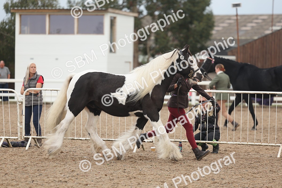 SBM_08415 - Class 29 - IH Veteran Pony