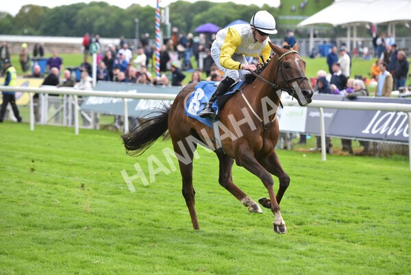 yr11052022r6-32 - Race 6 4.45pm Conundrum HR Consulting Stakes