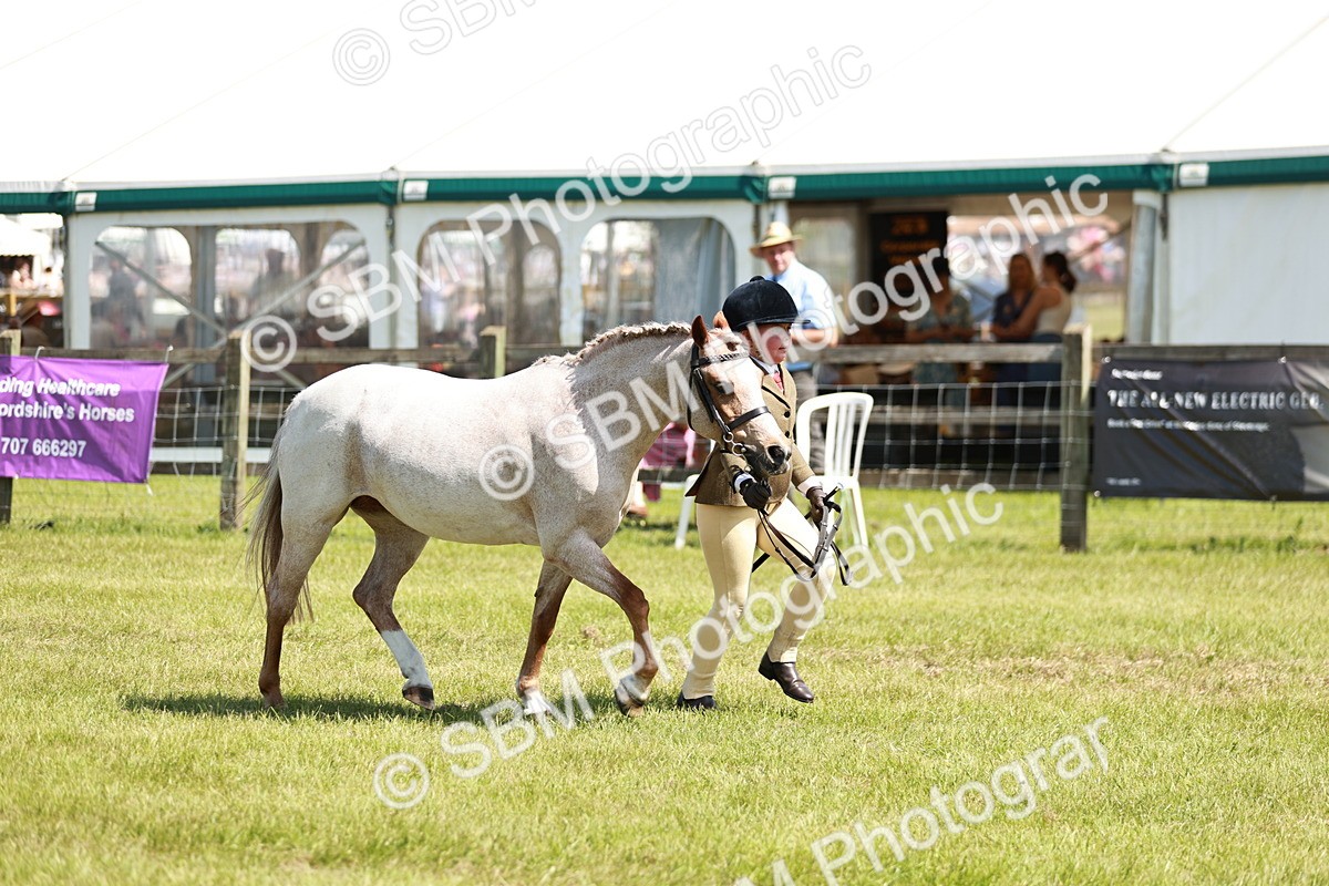 SBM_13640 - Class 108-109 - BSPS LIHS Open Gradle & Nursery Stakes
