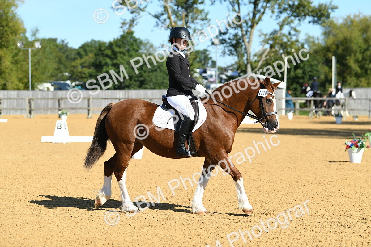 SBM_18043 - D4 - Small Tour Championship - Intro B