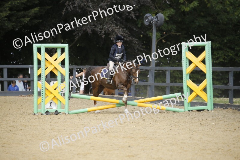 20250622-3665 - 50cm